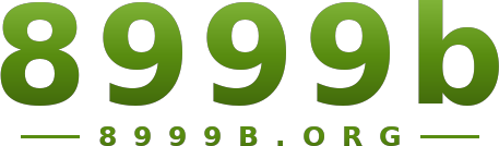 8999b logo
